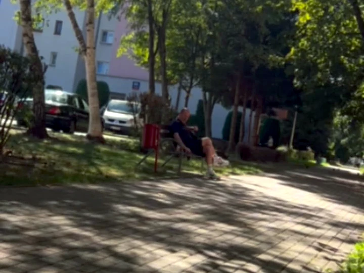 Insult in Rzeszów