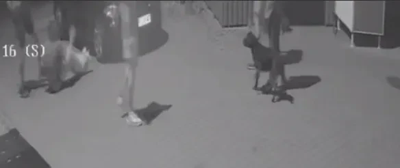 Physical attack in Białystok
