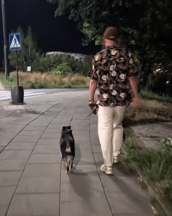 Insult in Kraków