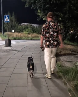 Insult in Kraków